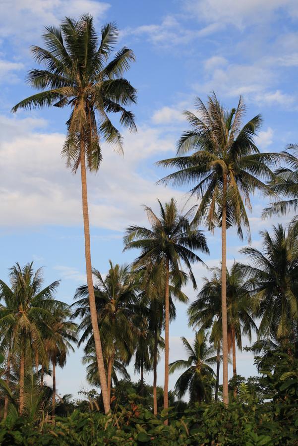Samui Le Reve Resort 3*